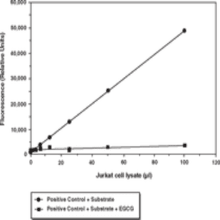 20S Proteasome Assay Kit avatar