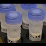 Integrated DNA Technologies Enhances its qPCR Probe Portfolio