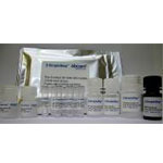 Abcam Launches SimpleStep ELISA Kits