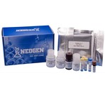 Neogen_human_il-6_cytokine_elisa