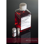 upcyte® Hepatocyte in vitro MN Genotox Kit