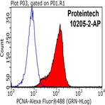 PCNA Antibody - proliferating cell nuclear antigen