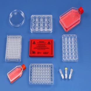 Universal Magnet Plate for Magnet Assisted Transfection