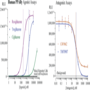 PPAR(gamma) (human) Reporter Assay Kit avatar