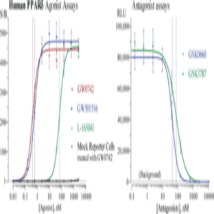 PPAR(delta) (human) Reporter Assay Kit avatar