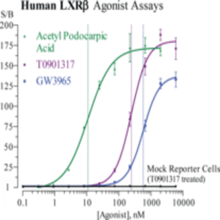 LXR(beta) (human) Reporter Assay Kit avatar