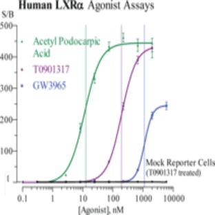 LXR(alpha) (human) Reporter Assay Kit avatar