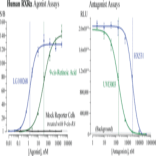 RXR(alpha) (human) Reporter Assay Kit avatar