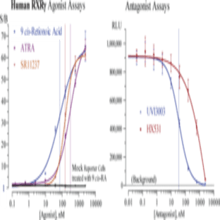 RXR(gamma) (human) Reporter Assay Kit avatar
