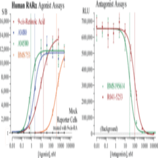 RAR(alpha) (human) Reporter Assay Kit