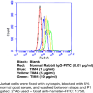 TIM4 Monoclonal Antibody