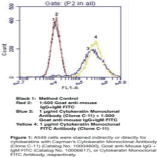 Cytokeratin Monoclonal FITC Antibody (Clone C-11) avatar