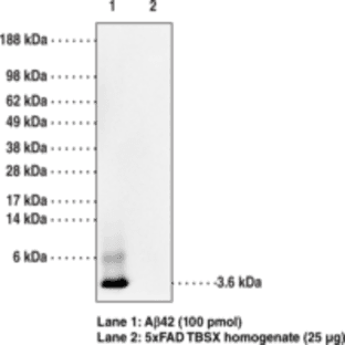Amyloid-(beta) Monoclonal Antibody (Clone 6C3, MOAB-2)