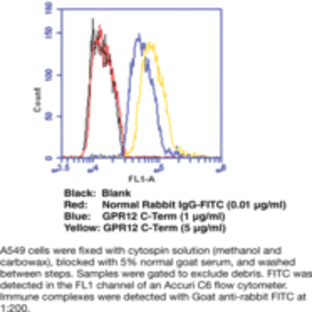 GPR12 (C-Term) Polyclonal Antibody avatar