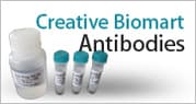 Creative Biomart Filter banner