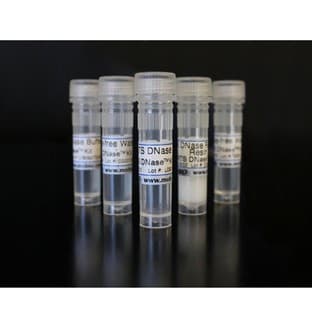 RTS DNase™ Kit