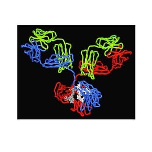Genovis Antibody Design Tools