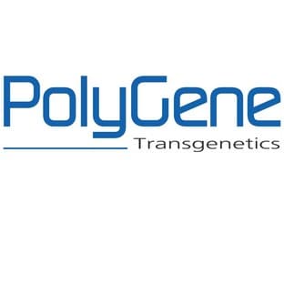 Transgenic Mouse Generation (Pronucleus Injection)