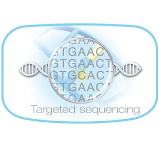 New whitepaper discusses how best to utilise next generation techniques for genomic research