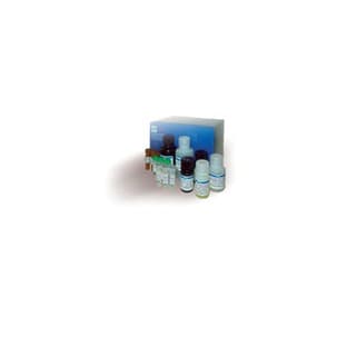 QuantiChrom™ Hemoglobin Assay Kit (catalog number: DIHB-250)