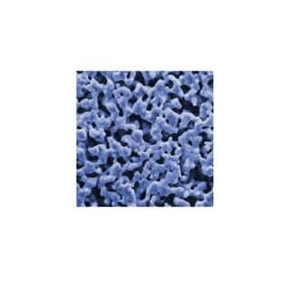 Silver Membrane Filters avatar