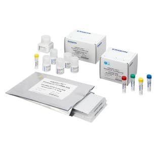 miRCURY LNA™ Universal RT microRNA PCR