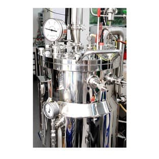 Custom recombinant protein production in E. coli