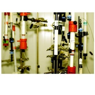 Custom recombinant protein production in yeast