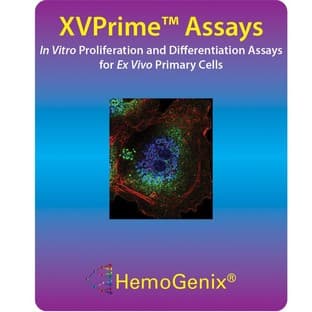 XVPrime-Assays™