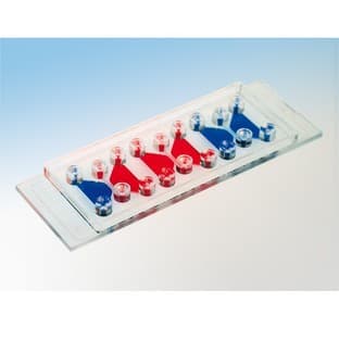 Вµ-Slide Chemotaxis 3D