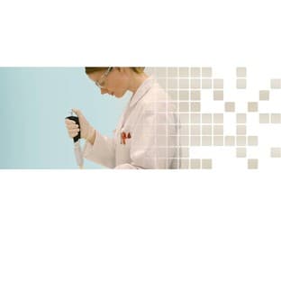 Endotoxin Detection Service