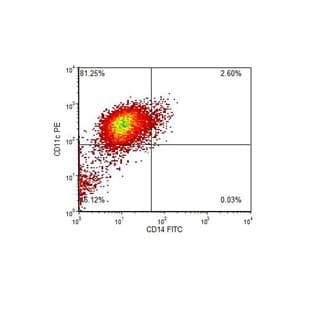 Monocyte Derived Human Dendritic Cells avatar
