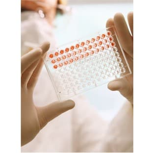 Proteoglycan Assay Kit