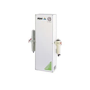 NM60L Nitrogen Generator