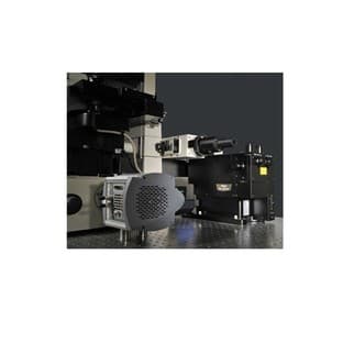 N-SIM Microscope avatar