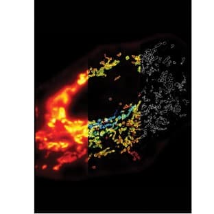 N-STORM Microscope avatar