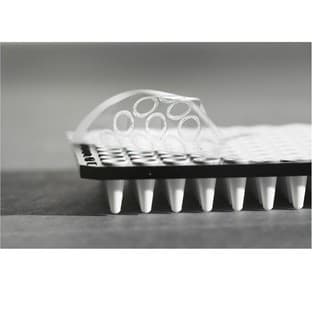 Heat Seals from 4titude