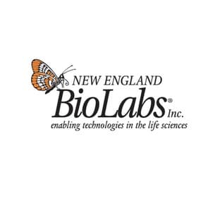EpiMark® Bisulfite Conversion Kit