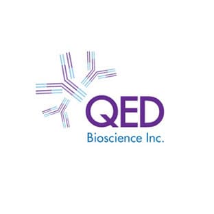 Lipoteichoic Acid Antibody
