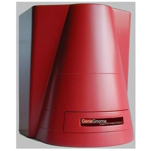 GeneGnome5 chemilumiinescence imaging system