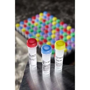 gBlocks Gene Fragments