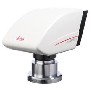 Leica DFC365 FX avatar