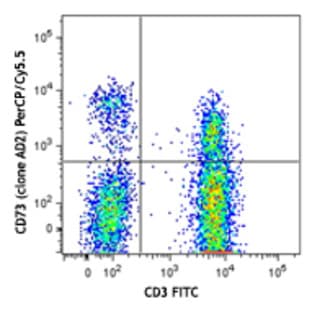 PerCP/Cy5.5 anti-human CD73