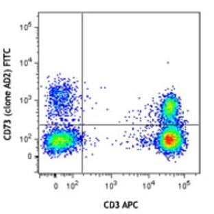 FITC anti-human CD73