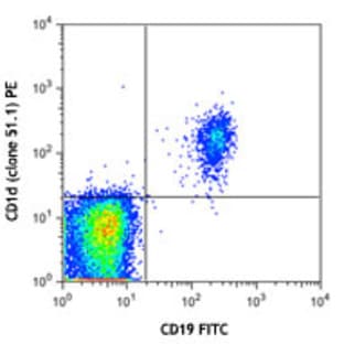 PE anti-human CD1d avatar