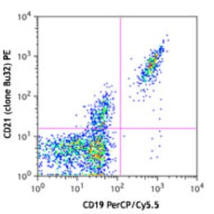 PE anti-human CD21