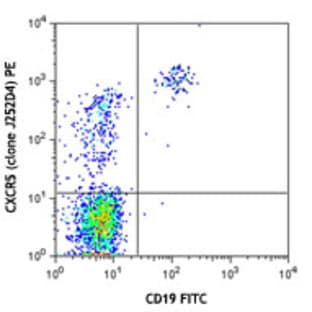 PE anti-human CD185 (CXCR5)