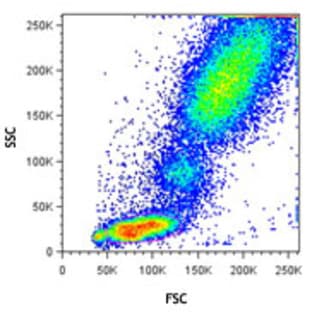 RBC Lysis/Fixation Solution (10X)