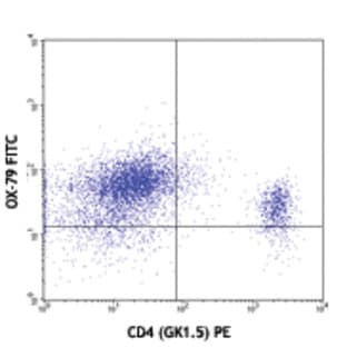 FITC anti-mouse CD53