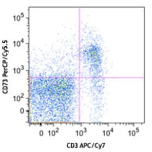 PerCP/Cy5.5 anti-mouse CD73 avatar